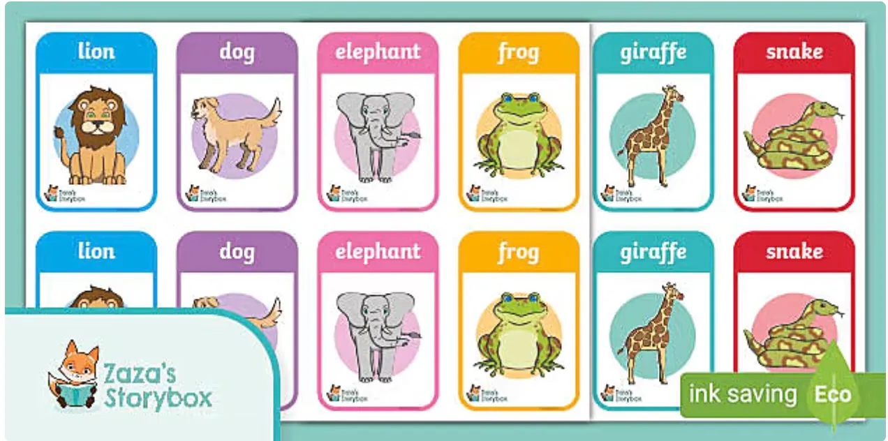 Zoo Matching Cards