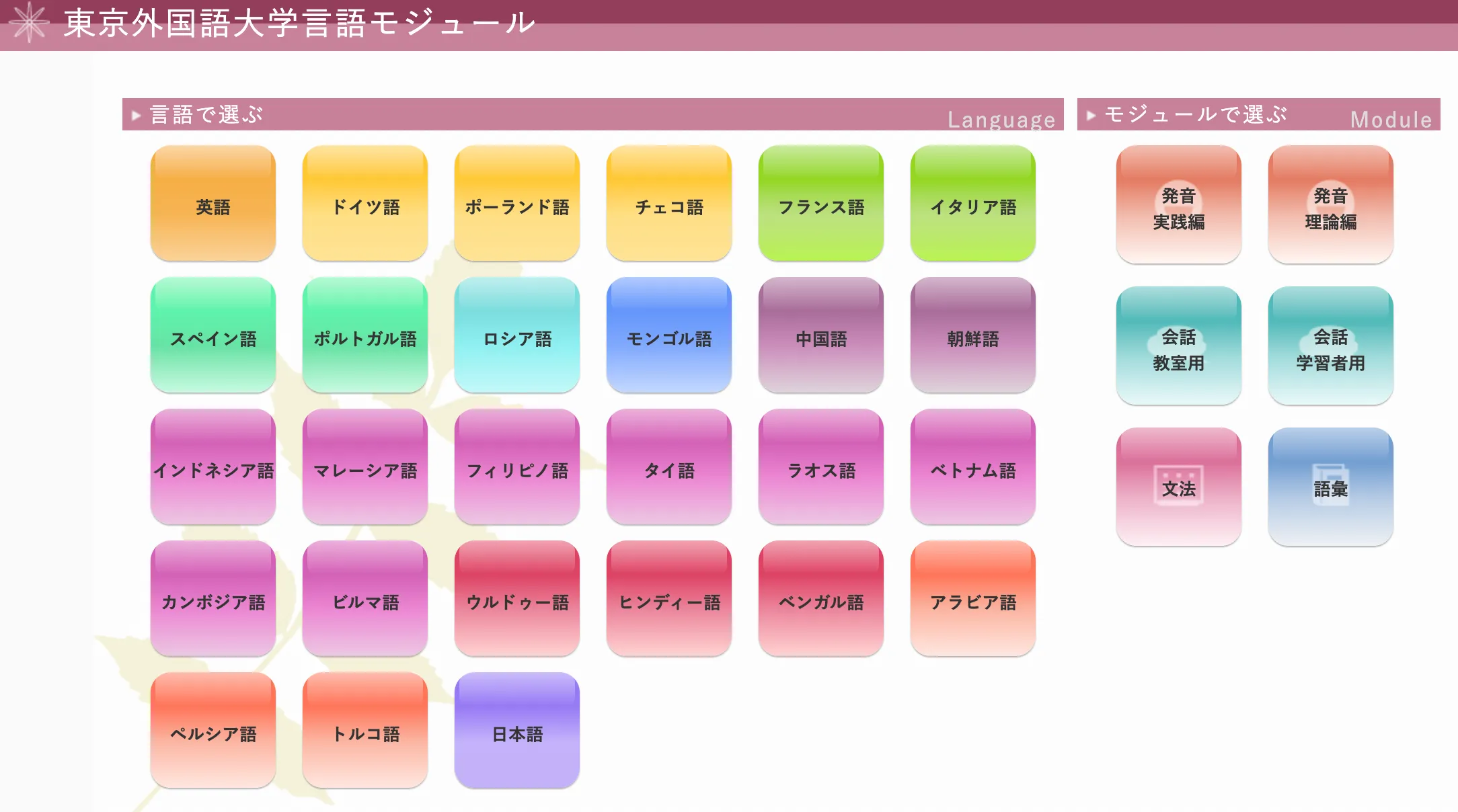 東外大言語モジュール