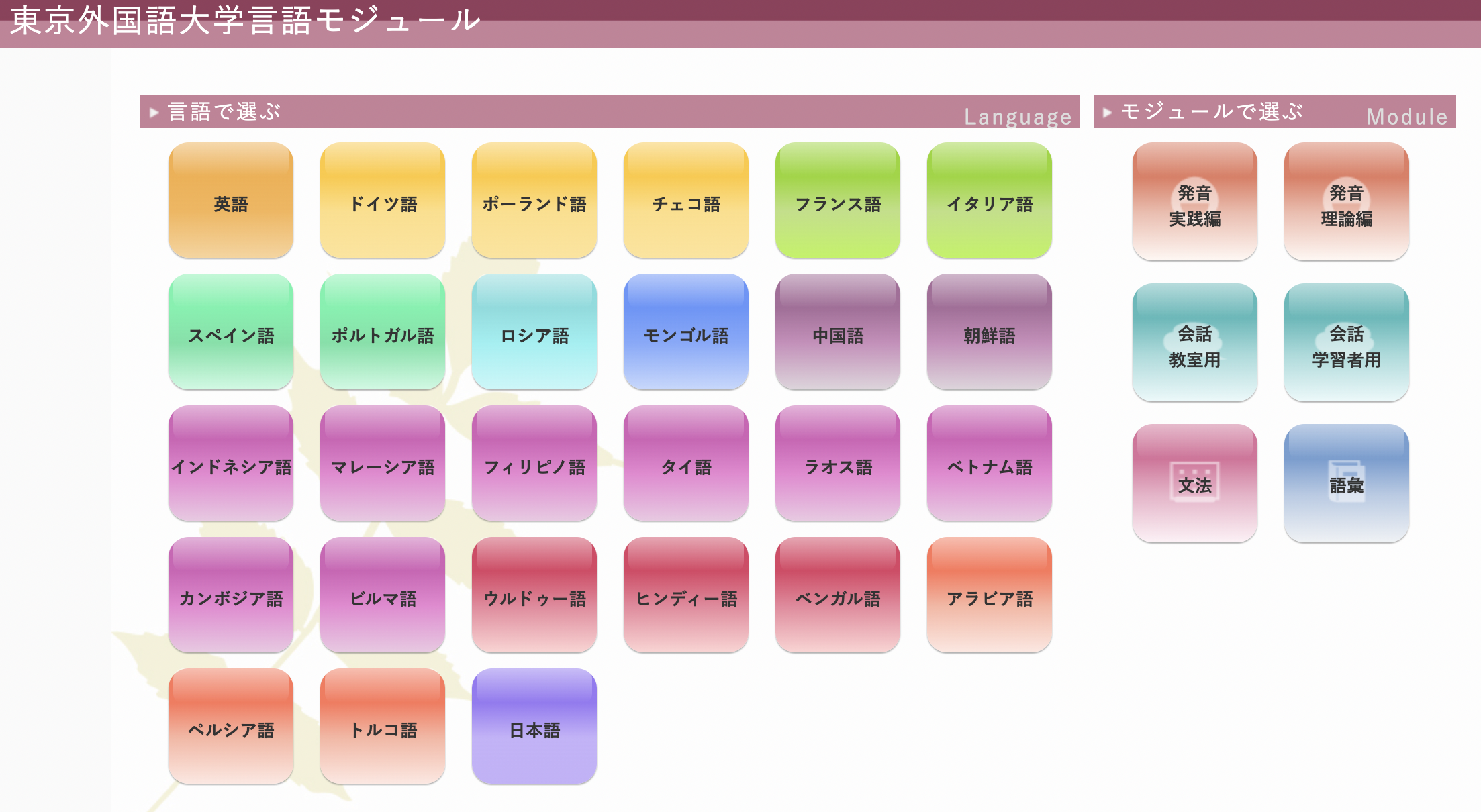 東京外国語大学 言語モジュール