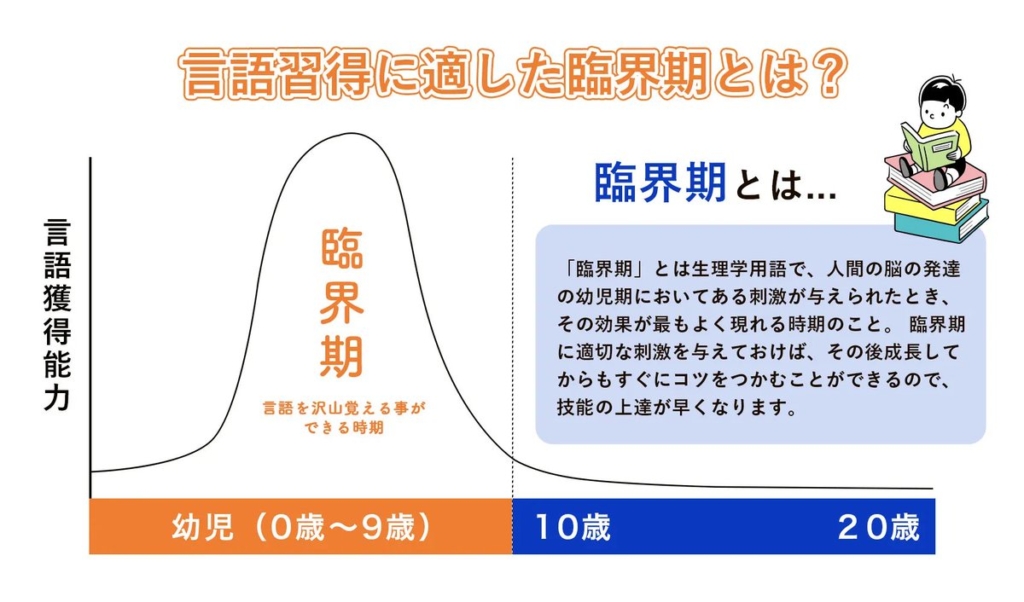 言語習得に適した臨界期とは？